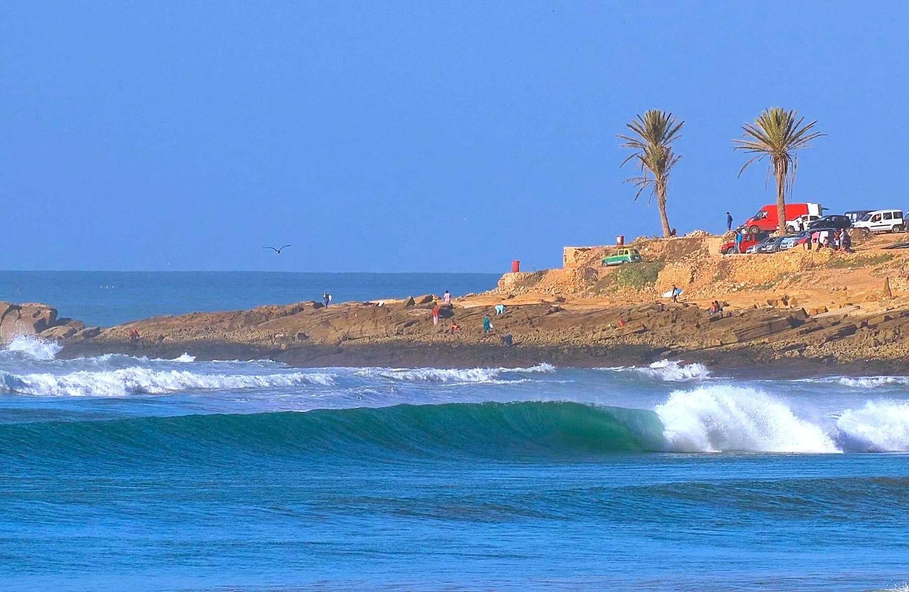 Several surfers riding a clean turquoise wave at Anchor Point in Taghazout